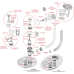 Сифон для ванны CLICK/CLACK, металл A504CKM Сифон для ванны CLICK/CLACK, металл A504CKM