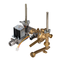 Узел газовый и водяной Nanoplus 2.0 (50113200G600)